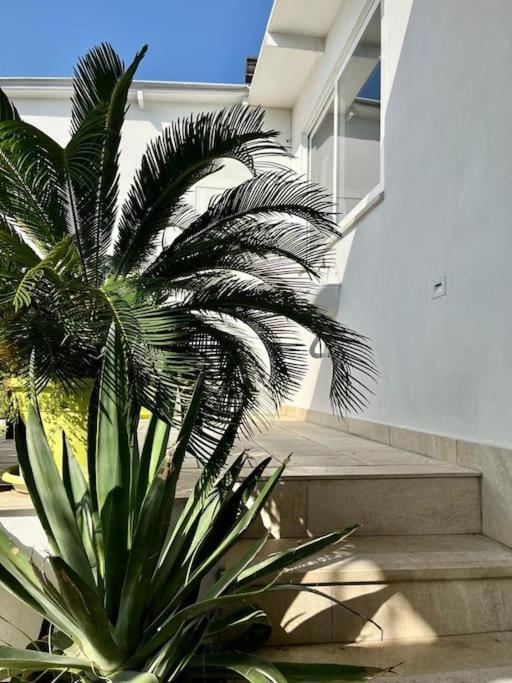 Naples In The History 4M Bed and Breakfast Eksteriør billede